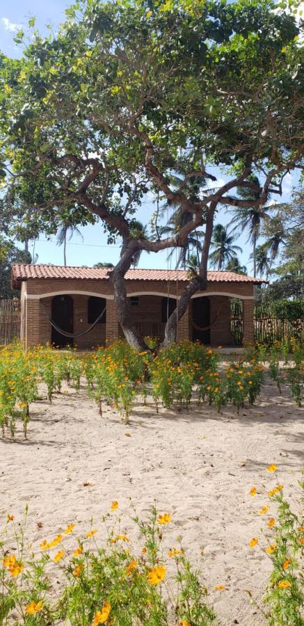 Pousada Vila Mangue Seco Jijoca de Jericoacoara Exteriör bild